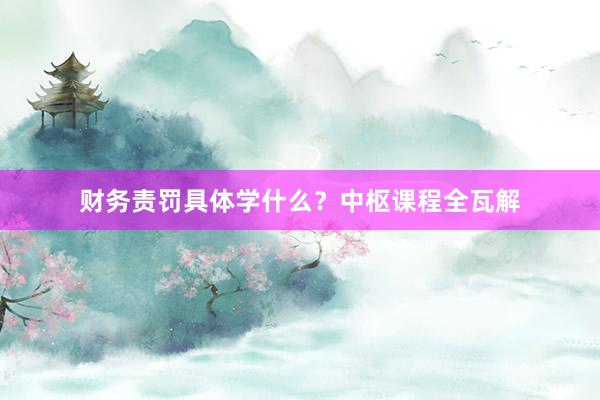 财务责罚具体学什么？中枢课程全瓦解